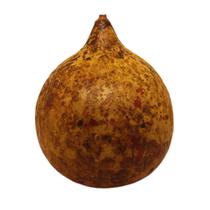 Cabaça Artesanato Para Berimbau Cuia De Porongo Seca Coité