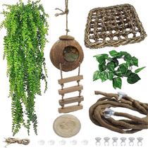 Cabaña Colgante de Coco para Reptiles con Escalera para Gecko Crestado y Lagarto Cabaña Colgante de Coco para Reptiles con Escalera para Gecko Crestado y Lagarto