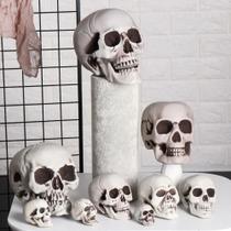 Cabeça De Esqueleto Humano Estilo Halloween, Todos Os Tamanhos, Adereço Fotográfico, Decoração Para