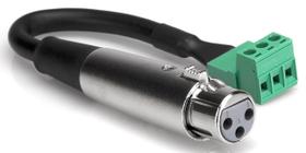 Cabo adaptador Hosa PHX-106FBULK XLR3F para PHX3M 15cm