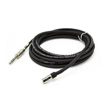 Cabo Adaptador P10 Macho Para P2 Fêmea Santo Ângelo Cabo Adaptador P10 Macho Para P2 Fêmea Santo Ângelo