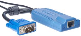 Cabo KVM Raritan Dominion KX II D2CIM-DVUSB Azul