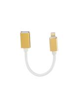 Cabo Otg Evus C-078 Lightning X Usb 2.0 15Cm
