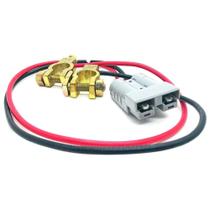 Cabo p/ Módulo de Bateria 12V 55cm Ragtech - 20CAB0019