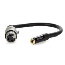 Cabo P2 Femea Para Xlr Femea - 50 Cm
