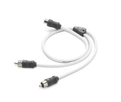 Cabo RCA Y Marinizado 7,62m JL Audio XMD-WHTAICY-1F2M