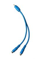 Cabo y 1rca macho x 2rca fêmea