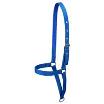 Cabresto de Fita para Vaca SV5406 - Azul