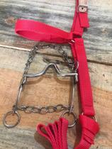 Cabresto de fita vermelho e Freio água choca inox com salivador Para Cavalo Cabresto de fita vermelho e Freio água choca inox com salivador Para Cavalo
