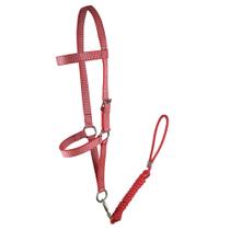 Cabresto Dorense SV5455 - Vermelho Cabresto Dorense SV5455 - Vermelho