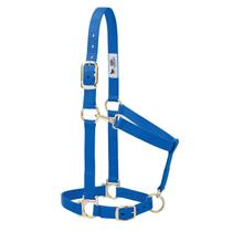 Cabresto Equino Ajustável Básico de Nylon Azul Cabresto Equino Ajustável Básico de Nylon Azul