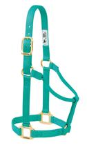 Cabresto para cavalo Weaver Equine Original em nylon, pequeno, verde Cabresto para cavalo Weaver Equine Original em nylon, pequeno, verde