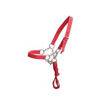 Cabresto Para Vaca Polietileno Com Corrente 121 - Ciarim