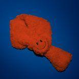 Cachecol Infantil Pelúcia Laranja Cachecol Infantil Pelúcia Laranja