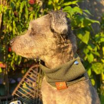 Cachecol Pet Atacado - Várias Cores e Tamanhos Disponíveis Cachecol Pet Atacado - Várias Cores e Tamanhos Disponíveis