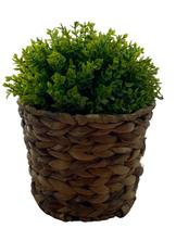 Cachepô de Fibra Natural Redondo