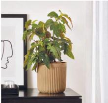 Cachepô Em Cimento Canelado Mart Collection - Pç