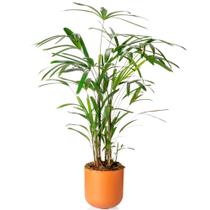 Cachepô Vaso Decorativo Grande 25,7cm Raiz Due para Plantas Ideal Pote Produtor N. 24 Várias Cores