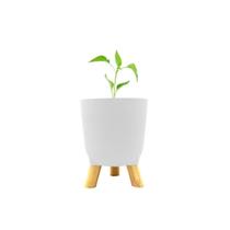 Cachepot Acrilico Brulet Com Pés De Madeira 16x12,5cm
