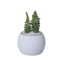 Cachepot Boleado Mini - Adornos