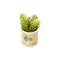 Cachepot ceramica round desert cactus fd bege peq 7.5x7.5x7cm