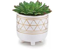 Cachepot Com Pés Cerâmica Com Suculenta Permanete - Mart