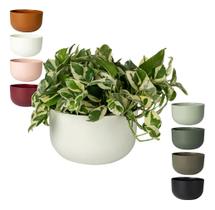 Cachepot Cuia Pote N 6 Vaso Raiz Due 21 14x24cm Folhagem