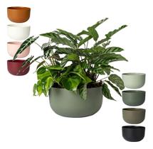 Cachepot Cuia Pote N 6 Vaso Raiz Due 21 14x24cm Folhagem