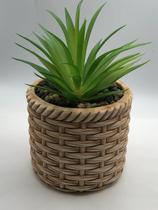 Cachepot de ceramica com suculenta rattan 10cm x 10cm x 17cm Cachepot de ceramica com suculenta rattan 10cm x 10cm x 17cm