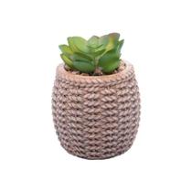 Cachepot de Cerâmica Com Suculenta Sisal - Wolff Cachepot de Cerâmica Com Suculenta Sisal - Wolff