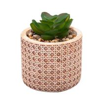 Cachepot de Cerâmica com Suculenta Treliça Wolff