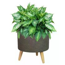 Cachepot de Cimento com Pe de Madeira Riva Taupe P