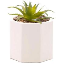 Cachepot De Cimento Com Suculenta 7,5x9,5cm Wolff Geométrico Decoração Artificial Cachepot De Cimento Com Suculenta 7,5x9,5cm Wolff Geométrico Decoração Artificial