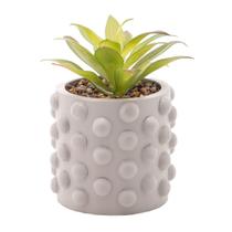 Cachepot de Cimento Com Suculenta Bubbles Cinza Claro 10cm X 17cm - Wolff