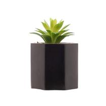 Cachepot de Cimento com Suculenta Geometrico Preto 7,5cm 61571 - Wolff