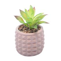 Cachepot de Cimento com Suculenta Spikes Marrom 10cm x 15cm - Wolff Cachepot de Cimento com Suculenta Spikes Marrom 10cm x 15cm - Wolff