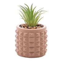 Cachepot de Cimento com Suculenta Spikes Marrom 7,5cm 61574 - Wolff - LYOR, WOLFF, ROJEMAC