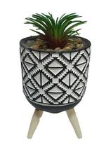 Cachepot de Concreto Suculenta e Suporte de Madeira Sortidos 4598 Lyor - Venda Unitária (Sortidos)