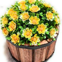 Cachepot de Madeira redondo Rústico com Bucho Flor Cores Sortidas