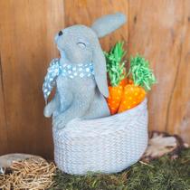 Cachepot Decorativo Coelho Orelhucho Páscoa - Linha Fazendinha Cachepot Decorativo Coelho Orelhucho Páscoa - Linha Fazendinha