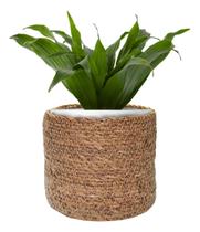 Cachepot Decorativo Em Fibra Natural Trancado Com Forro