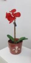 Cachepot Flor de Lis 17 x 13 cm