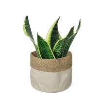 Cachepot Médio Dupla Face c/ Barra Dobrada