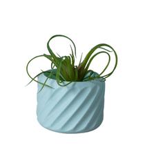 Cachepot Mesclado Mini - Adornos