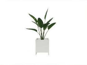 Cachepot New Branco