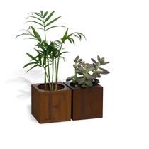 Cachepot para suculentas 2 vasos FÉ Cachepot para suculentas 2 vasos FÉ