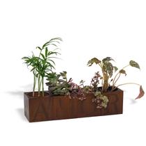 Cachepot para suculentas 4 vasos AMOR