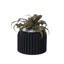 Cachepot Rajado Mini - Adornos Cachepot Rajado Mini - Adornos