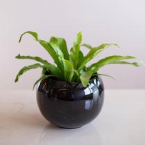 Cachepot Redondo Preto Cachepot Redondo Preto