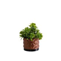 Cachepot Rochedo P - Realce